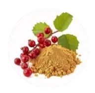 Schisandra Fruit Extract
